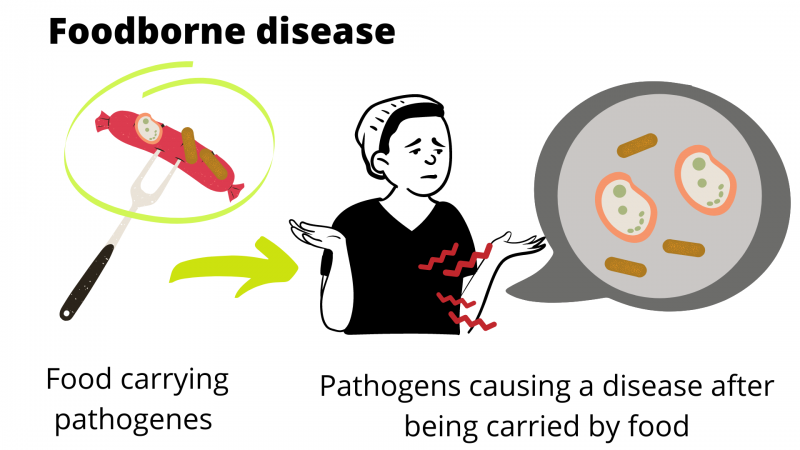 foodborne disease