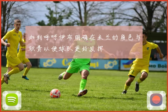 加利呼吁伊布明确在米兰的角色与职责以便球队更好发挥
