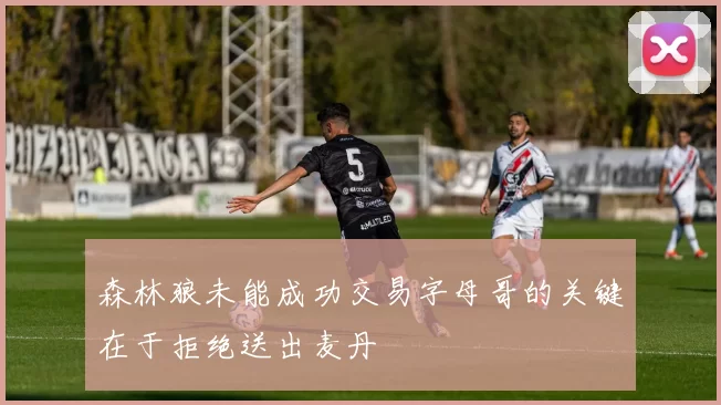 森林狼未能成功交易字母哥的关键在于拒绝送出麦丹